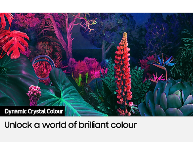 Samsung 43BU8000 43 inch UHD 4K Crystal Smart TV - Image 7