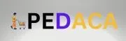 Pedaca Technologies.